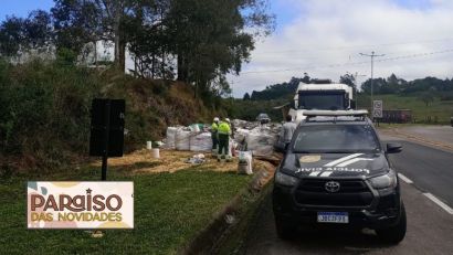 Tentativa de roubo de carga tombada termina em prisão