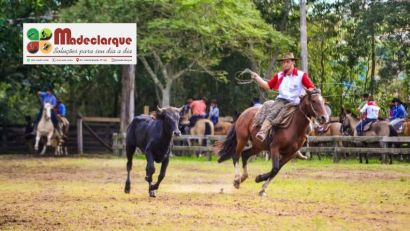 Entre laço e gineteada, a tradição campeira fez ferver o chão do CTG Bento Gonçalves da Silva, em Cristal