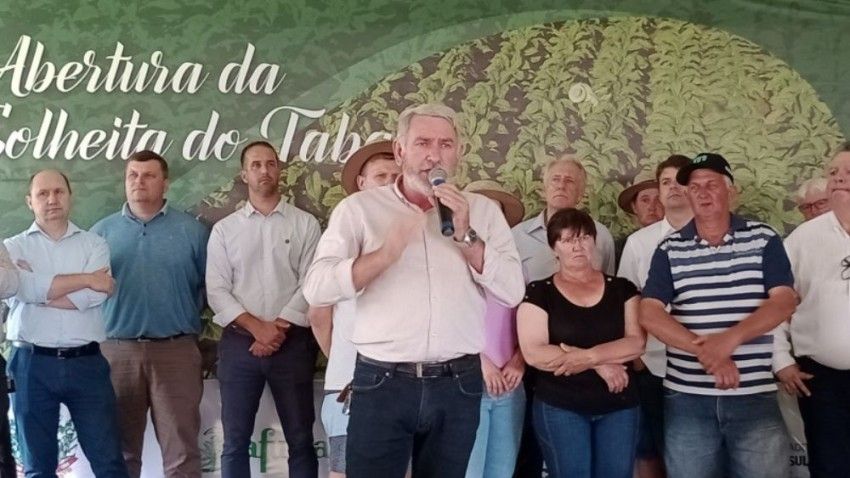 ABERTA OFICIALMENTE A COLHEITA DO TABACO NO RIO GRANDE DO SUL