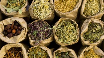 CANGUÇU ABRE INSCRIÇÕES PARA CURSO GRATUITO DE PLANTAS MEDICINAIS