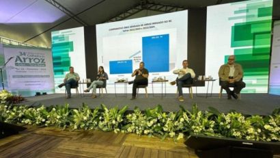 IRGA DIVULGA DADOS DA SEMEADURA DO ARROZ NO RS