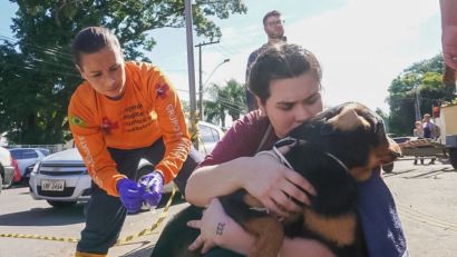 “UM CÃO RESGATADO ME MORDEU” - SAIBA O QUE FAZER E ONDE PROCURAR AJUDA