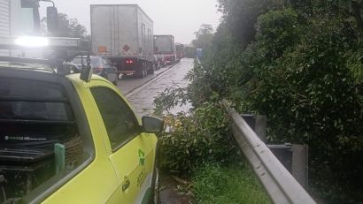 TEMPORAL CAUSA QUEDA DE ÁRVORE E BLOQUEIA BR-116 EM CRISTAL  