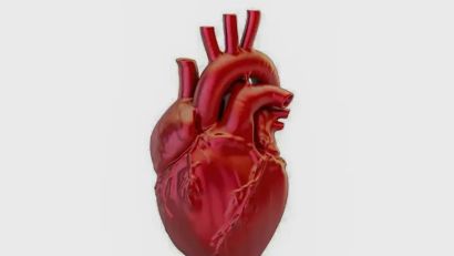 DOENÇAS CARDIOVASCULARES MATAM MAIS DE 400 MIL BRASILEIROS POR ANO
