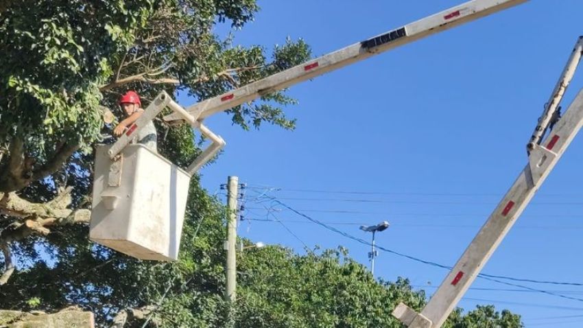 PREFEITURA DE ARAMBARÉ REFORÇA REGRAS PARA PODA DE ÁRVORES E ALERTA SOBRE MULTAS