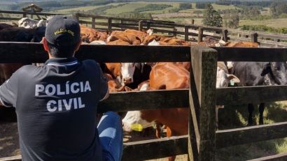 OPERAÇÃO SEÑUELO DESMANTELA ESQUEMA ILEGAL DE VENDA DE GADO NO RS