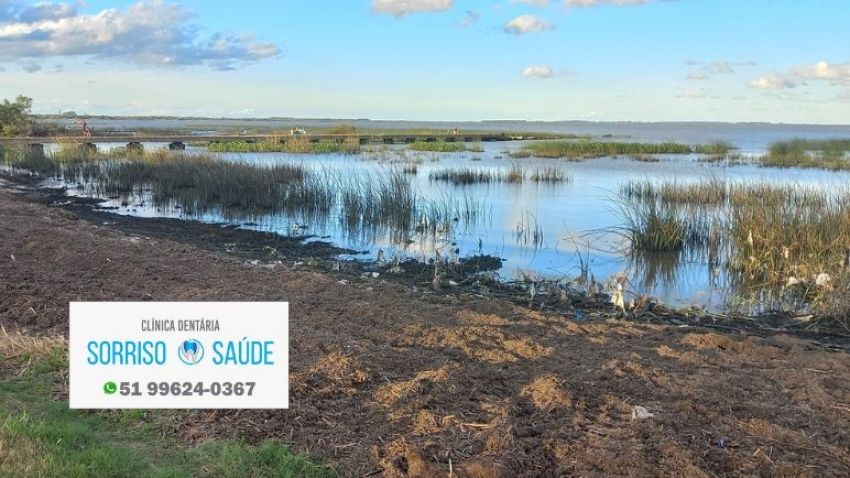 SÃO LOURENÇO DO SUL MOBILIZA VOLUNTÁRIOS PARA O 10º MUTIRÃO E REMADA AMBIENTAL